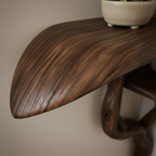 Organic Tree Form Solid Wood Corner Shelves