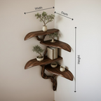 Organic Tree Form Solid Wood Corner Shelves
